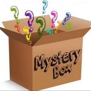 Mystery Resellers Box 6-8 items